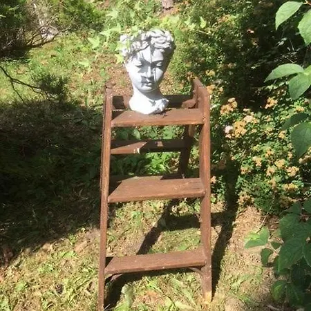 Modernisierte Mit Balkon *