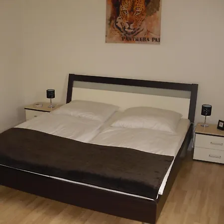 Modernisierte Mit Balkon Apartment